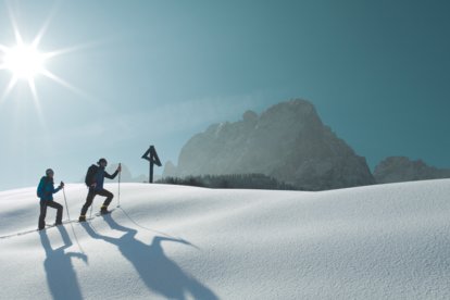 Schneeschuhwandern | © Österreich Werbung / Andreas Hofer