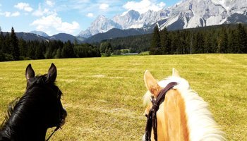 Reiten in Ramsau am Dachstein | © Daniela Landl