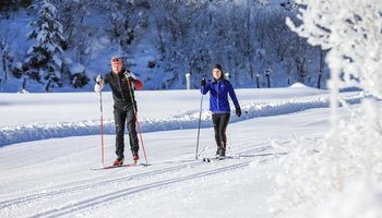 Langlaufen im Langlaufeldorado Ramsau am Dachstein | © Martin Huber